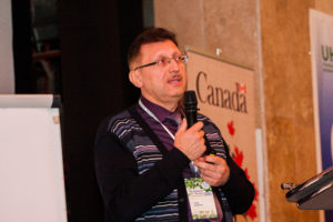 Культури, дефіцит яких збережеться в 2019 - це шавлія, ромашка, меліса, подорожник, алтей і лаванда
