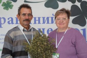За його словами, культура є і хорошим попередником з фунгіцидними властивостями: зернові, посіяні після шавлії, протягом трьох років практично не дивувалися кореневими гнилями