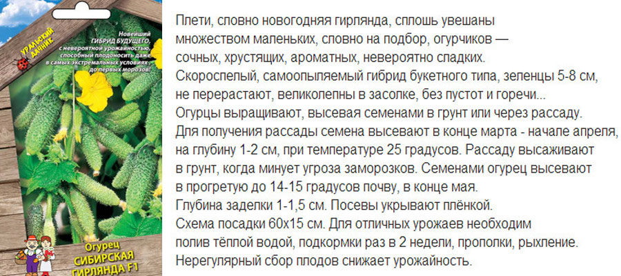 Гібрид Сибірська гірлянда F1