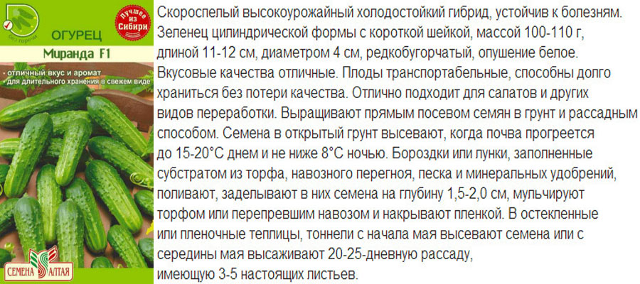 Гібрид Міранда F1