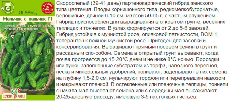 Гібрид Хлопчик-мізинчик F1