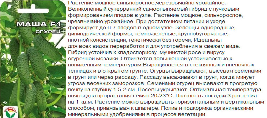 Гібрид Маша F1