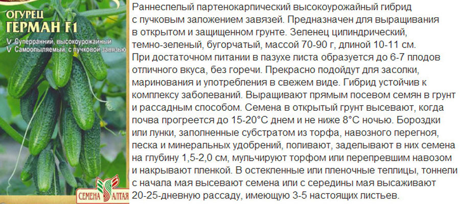 Гібрид Герман F1