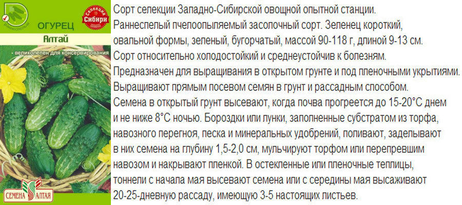 Опис популярних сортів для відкритого грунту